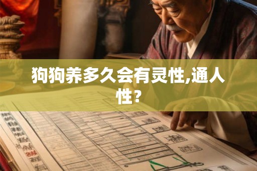 狗狗养多久会有灵性,通人性？