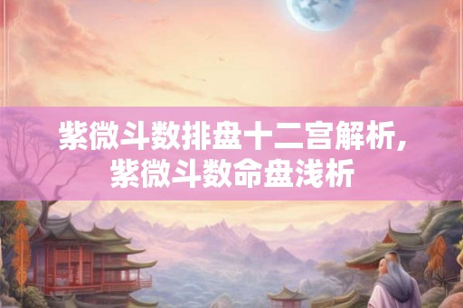 紫微斗数排盘十二宫解析,紫微斗数命盘浅析