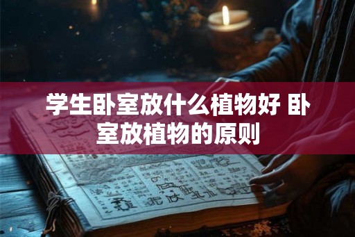 学生卧室放什么植物好 卧室放植物的原则