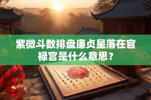 紫微斗数排盘廉贞星落在官禄宫是什么意思？