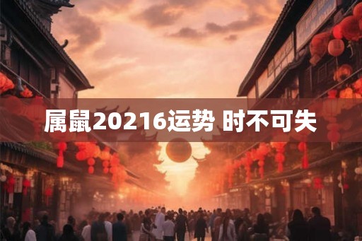属鼠20216运势 时不可失