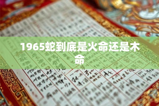 1965蛇到底是火命还是木命