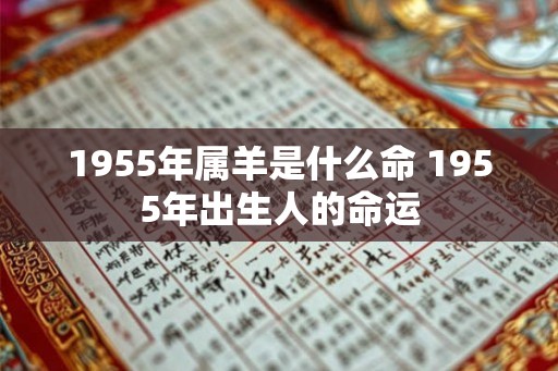 1955年属羊是什么命 1955年出生人的命运