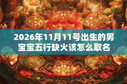 2026年11月11号出生的男宝宝五行缺火该怎么取名