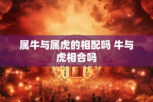 属牛与属虎的相配吗 牛与虎相合吗