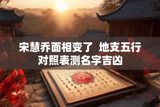 宋慧乔面相变了  地支五行对照表测名字吉凶