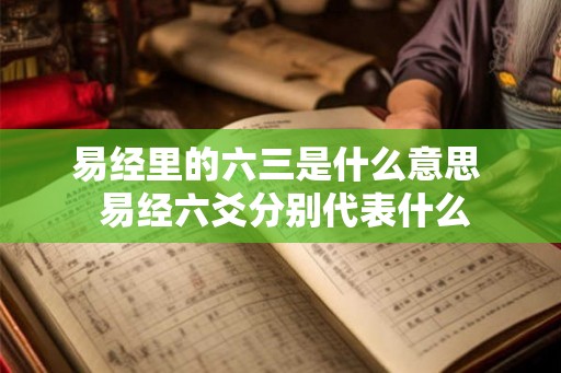 易经里的六三是什么意思  易经六爻分别代表什么