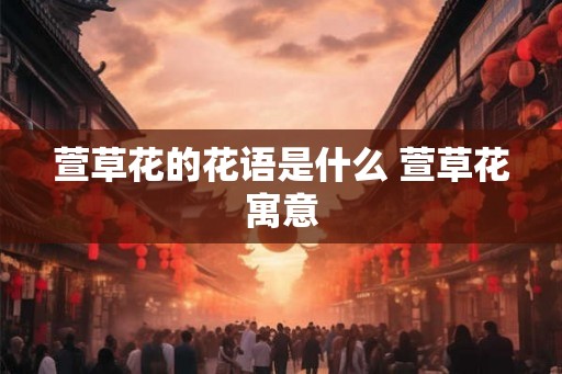 萱草花的花语是什么 萱草花寓意 萱草花的花语是什么 萱草花寓意