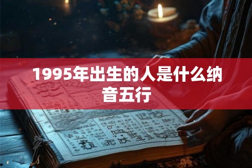 1995年出生的人是什么纳音五行