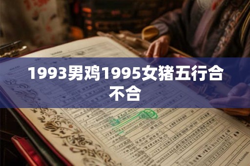 1993男鸡1995女猪五行合不合