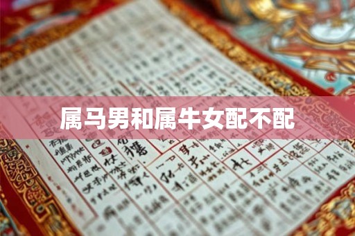 属马男和属牛女配不配 属马男和属牛女配不配