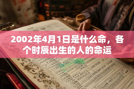 2002年4月1日是什么命，各个时辰出生的人的命运