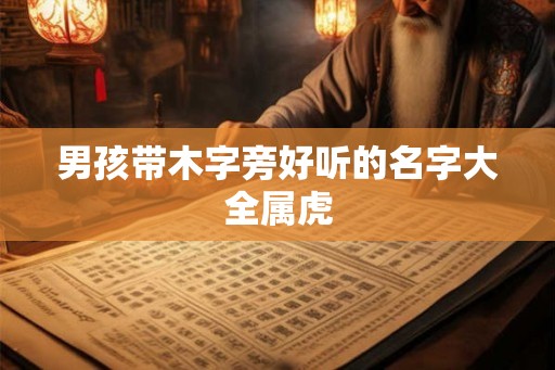 男孩带木字旁好听的名字大全属虎