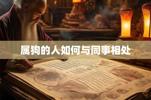 属狗的人如何与同事相处 属狗的人如何与同事相处