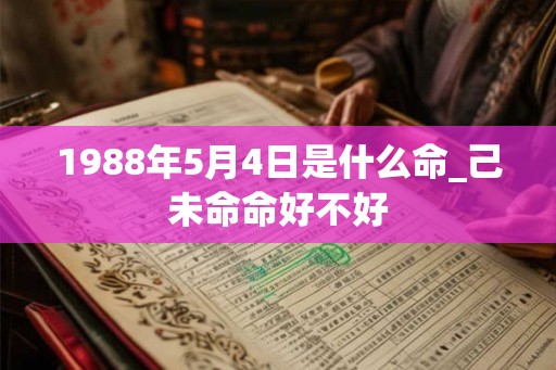 1988年5月4日是什么命_己未命命好不好 1988年5月4日是什么命_己未命命好不好