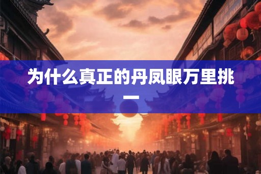 为什么真正的丹凤眼万里挑一
