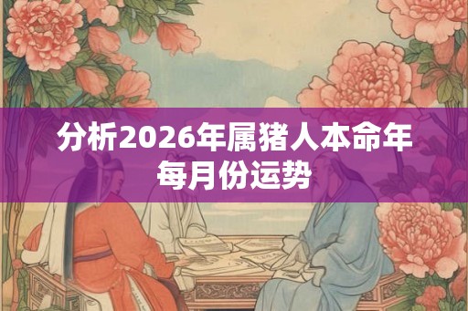 分析2026年属猪人本命年每月份运势