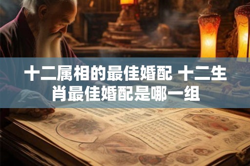 十二属相的最佳婚配 十二生肖最佳婚配是哪一组