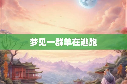 梦见一群羊在逃跑
