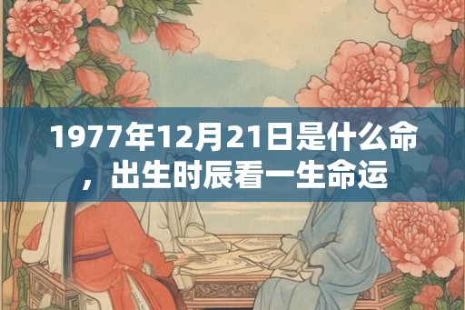 1977年12月21日是什么命，出生时辰看一生命运