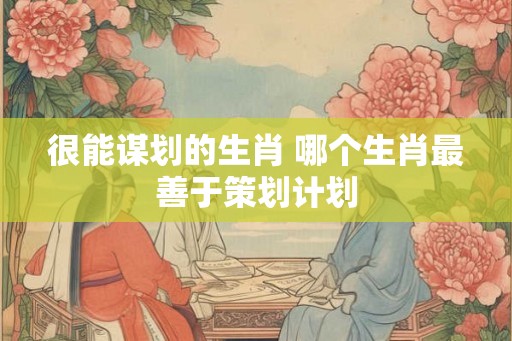 很能谋划的生肖 哪个生肖最善于策划计划