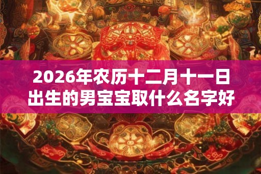 2026年农历十二月十一日出生的男宝宝取什么名字好? 2026年农历十二月十一日出生的男宝宝取什么名字好?
