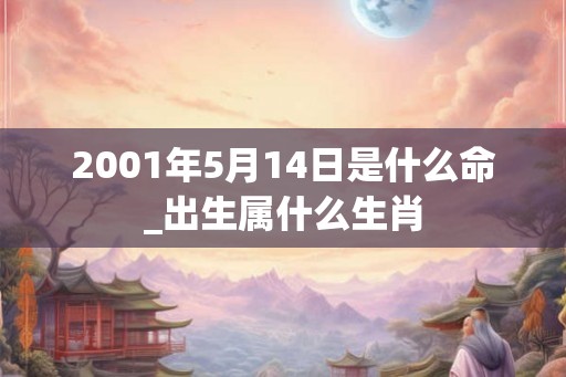 2001年5月14日是什么命_出生属什么生肖 2001年5月14日是什么命_出生属什么生肖
