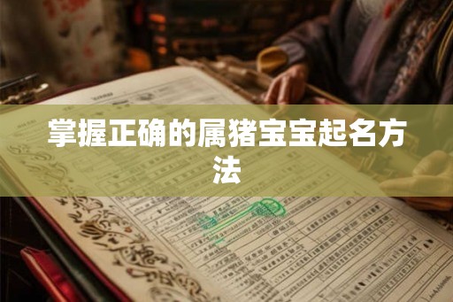 掌握正确的属猪宝宝起名方法