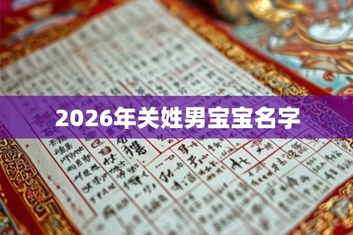 2026年关姓男宝宝名字