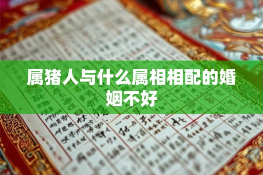 属猪人与什么属相相配的婚姻不好