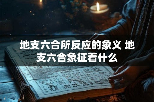 地支六合所反应的象义 地支六合象征着什么