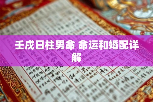 壬戌日柱男命 命运和婚配详解