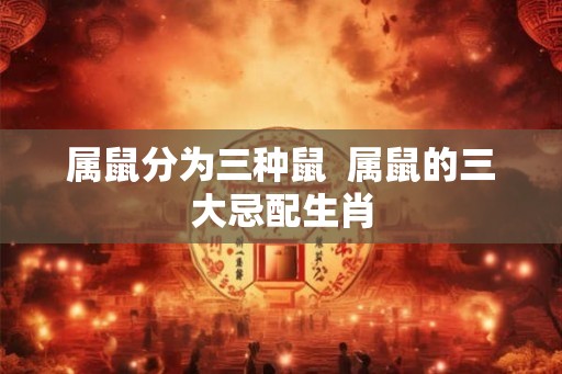 属鼠分为三种鼠  属鼠的三大忌配生肖