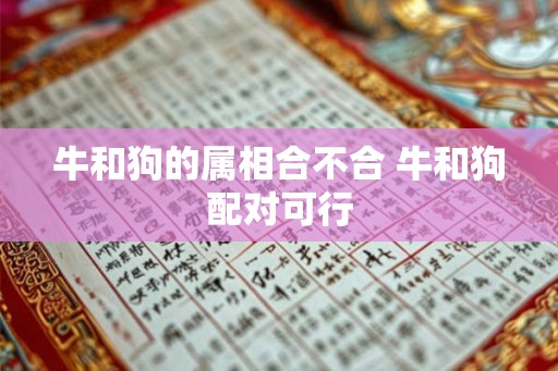 牛和狗的属相合不合 牛和狗配对可行