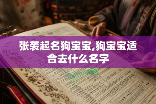 张袭起名狗宝宝,狗宝宝适合去什么名字 张袭起名狗宝宝,狗宝宝适合去什么名字