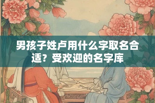 男孩子姓卢用什么字取名合适？受欢迎的名字库