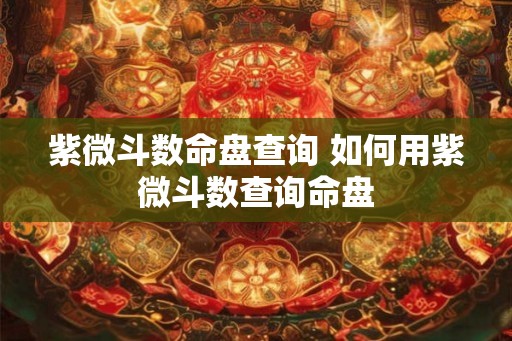 紫微斗数命盘查询 如何用紫微斗数查询命盘