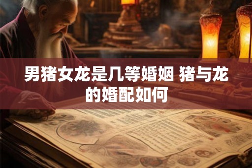 男猪女龙是几等婚姻 猪与龙的婚配如何