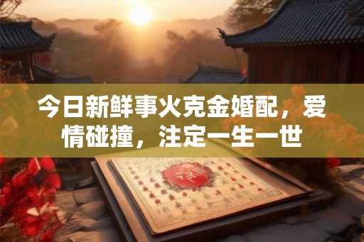 今日新鲜事火克金婚配，爱情碰撞，注定一生一世