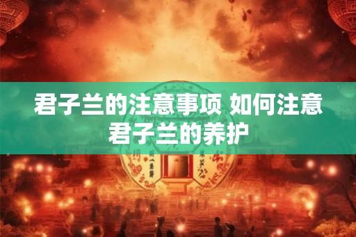 君子兰的注意事项 如何注意君子兰的养护