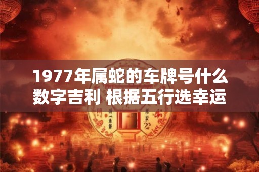 1977年属蛇的车牌号什么数字吉利 根据五行选幸运数 1977年属蛇的车牌号什么数字吉利 根据五行选幸运数