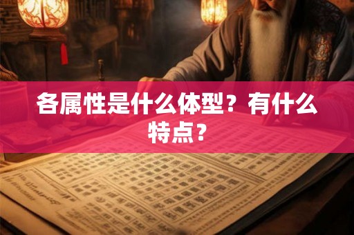 各属性是什么体型？有什么特点？