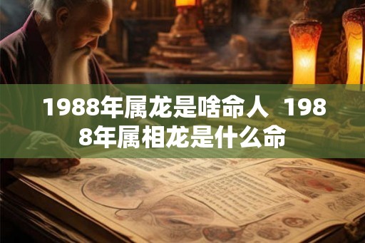 1988年属龙是啥命人  1988年属相龙是什么命