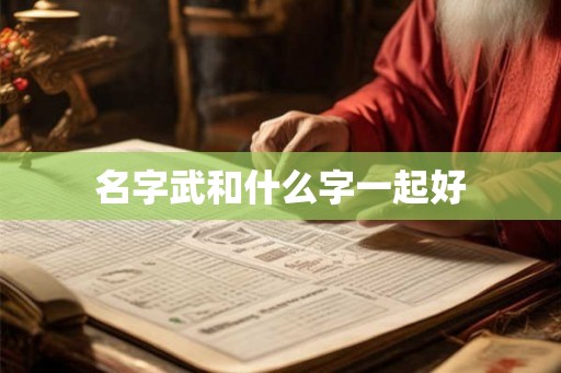 名字武和什么字一起好