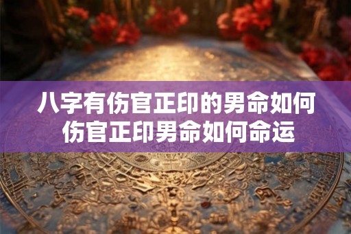 八字有伤官正印的男命如何 伤官正印男命如何命运