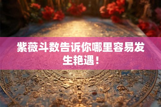 紫薇斗数告诉你哪里容易发生艳遇！