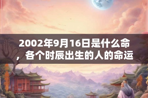 2002年9月16日是什么命,各个时辰出生的人的命运 2002年9月16日是什么命,各个时辰出生的人的命运