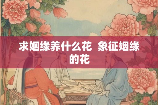 求姻缘养什么花  象征姻缘的花