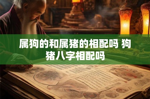 属狗的和属猪的相配吗 狗猪八字相配吗 属狗的和属猪的相配吗 狗猪八字相配吗
