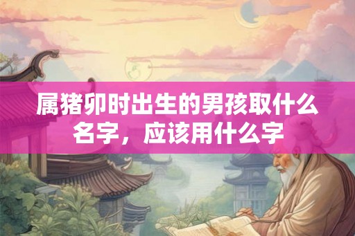 属猪卯时出生的男孩取什么名字,应该用什么字 属猪卯时出生的男孩取什么名字,应该用什么字